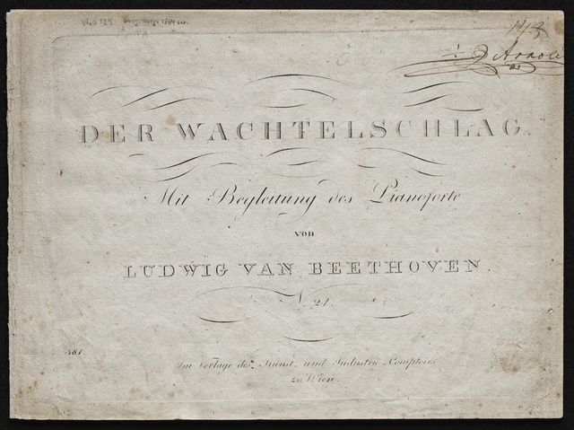 Scan 11389: Go to the Digital Archive